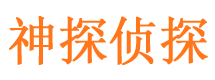 卫东寻人公司